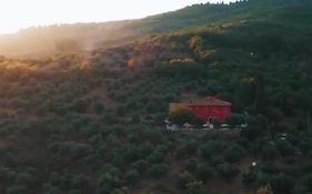 Podere Belvedere Tuscany